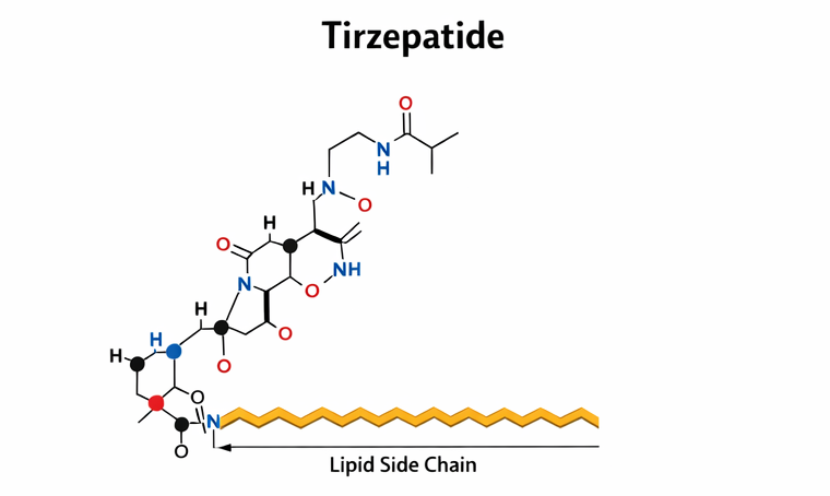 Tirzepatyd (tirzepatide) - schemat